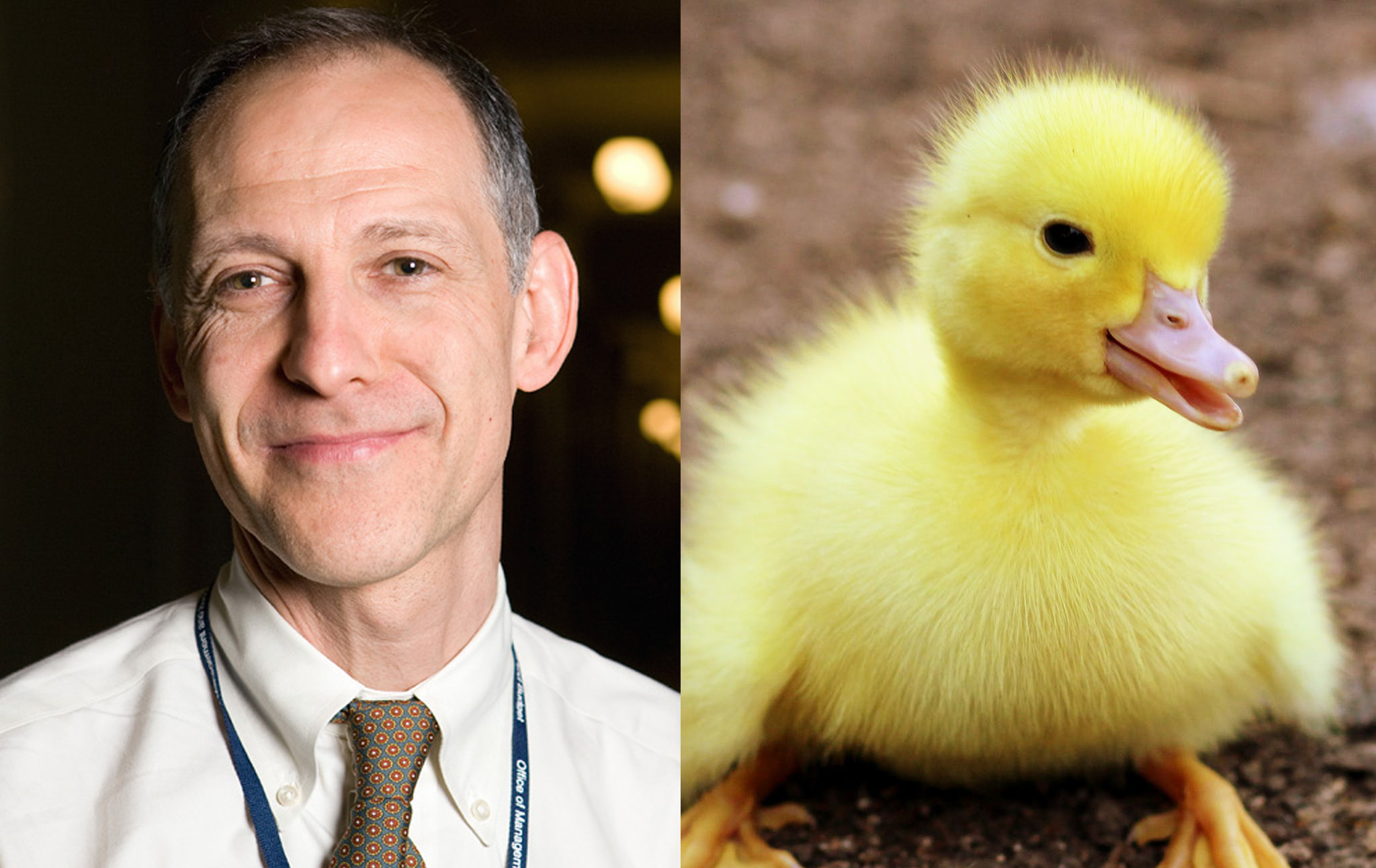 Animals Are Pointless And We Should Be Too Current Affairs