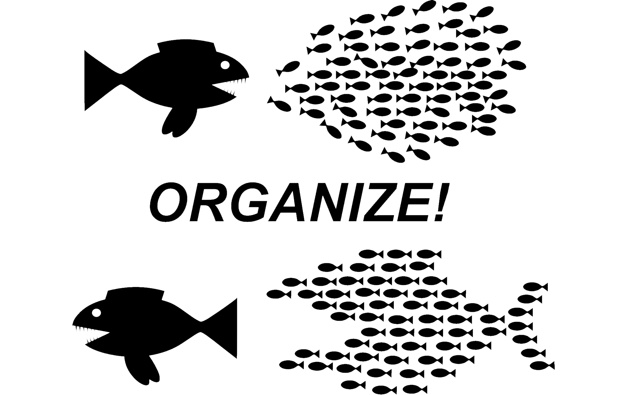 How To Organize Current Affairs